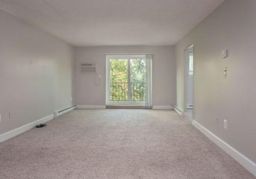 living room with carpeting